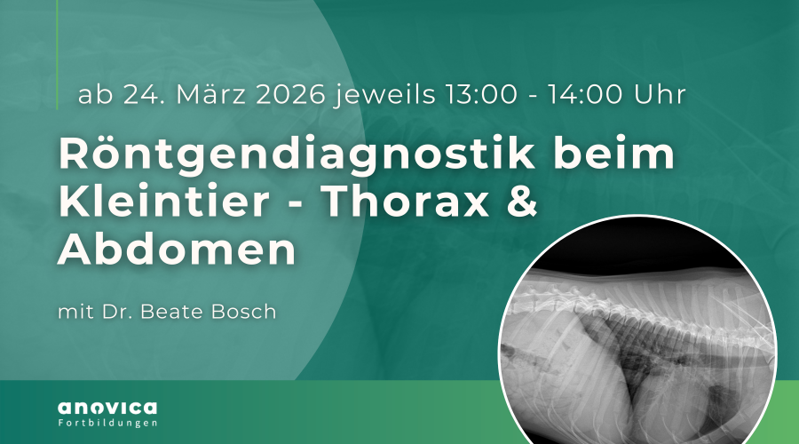 Website-Teaser 600x400px (11)