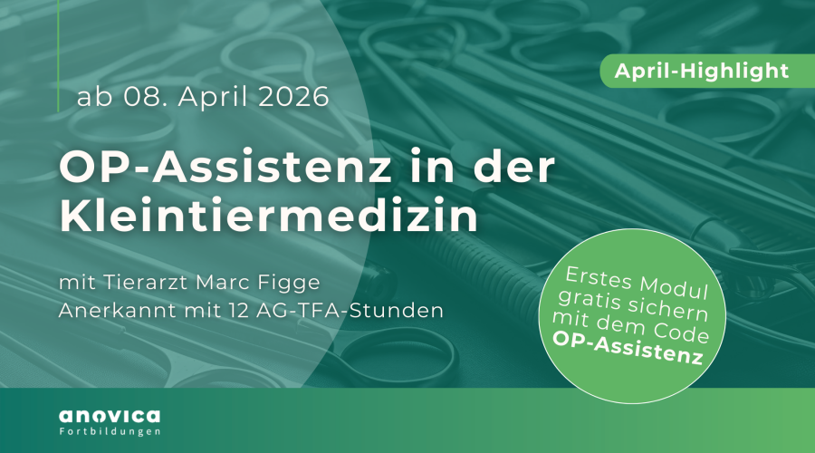 Website-Teaser 600x400px (16)